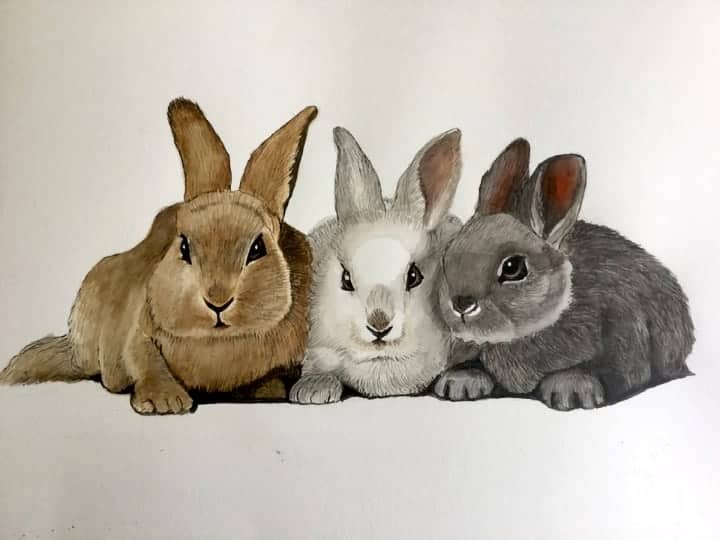 linda-rabbits