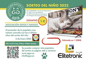 AGYA-lottery-ticket-sorteo-del-nino-V3a-2022-product